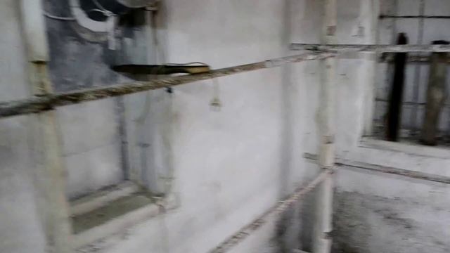 Грибы Вешенка.Дезинфекция грибного помещения. Самый доступный способ продезинфицировать помещение. смотреть онлайн