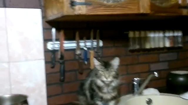 фантуша 7мес ест мясо смотреть онлайн