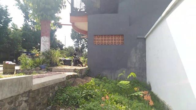 Amaryllis flowers in Indonesian name November Flowers смотреть онлайн