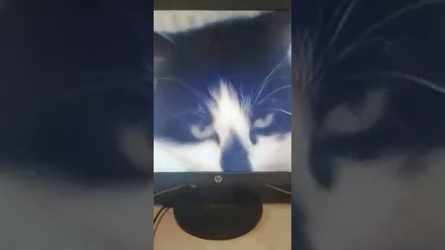 анука давайка играют в Among Us, Рыжуля и Малыш предатели!!