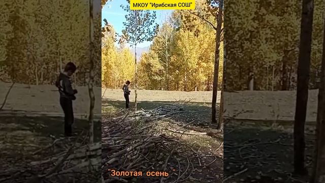 Золотая осень 2021
#золотаяосень#ирибскаясош#осень#природа#чародинскийрайон"ириб