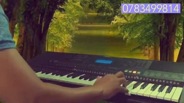 0783499814 Bán Đàn Organ Yamaha psr s500 e443 cũ-Giá 4.000.000đ (4 trieu)-nhạc cụ minh huy смотреть онлайн