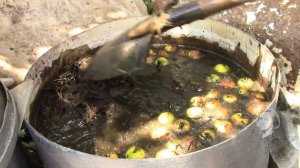 ОРГАНИЧЕСКОЕ УДОБРЕНИЕ ИЗ ТРАВЫ.