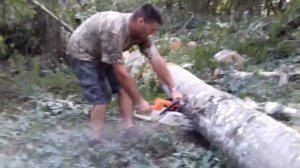 Stihl MS 381