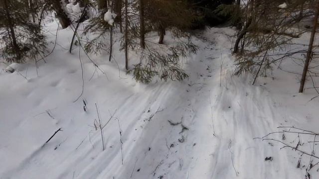 ВЫЖИВАНИЕ В ЛЕСУ 24 ЧАСА!!!! КАБАН, ЛИСА!!!!! ГОТОВИМ НЕ ИЗВЕСТНОЕ БЛЮДО! смотреть онлайн