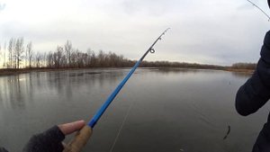Крупный осенний окунь на отводной поводок с лодки. Конец октября