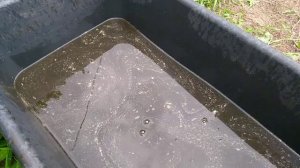 Готовлю раствор для полива растений.