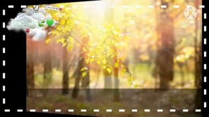 [🍃] туру туту руру Меме /gacha life/[🍀]