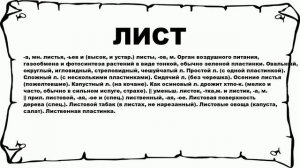 ЛИСТ - что это такое? значение и описание