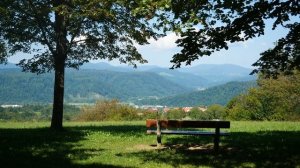 Люди прибыли на Землю с другой планеты около 40 тысяч лет назад