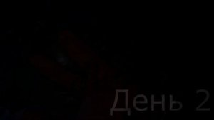 КАК ГИТЕЛЬМАН ИЗМЕНИЛСЯ ЗА 5 ДНЕЙ // МЕТОДИКА ПОХУДЕНИЯ ГИТЕЛЬМАНА