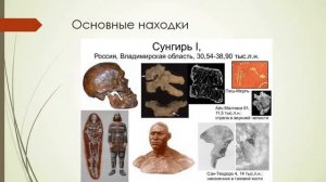 Лекция 2  Стоянки Сунгирь и Денисова пещера