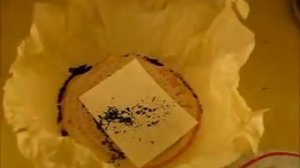 Как выбрать пуэр (часть 2, шу пуэр)