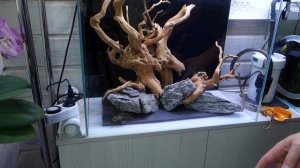 aquascaping, #Акваскейпинг.  Составление хардскейпа, маленькие секреты. Aquadesign.