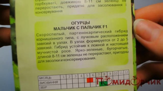 Семена Огурцов Мальчик с пальчик F1 - Помидорчик смотреть онлайн