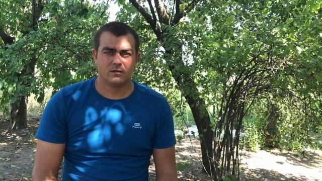 62/20 Флорида Бьюти! Клубника Флорида Бьюти! Сорт НСД Флорида Бьюти. Обзор Август 2020