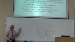 Embryology Dr.Jamal | GIT 5