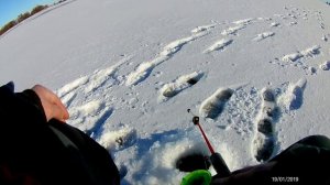 Зимняя рыбалка.Ловля на "Бомбу".