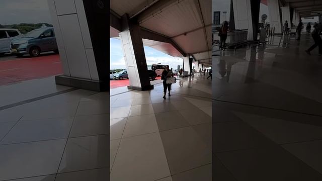 Дом 2! Лиза Полыгалова смогла вывезти собаку с Бали