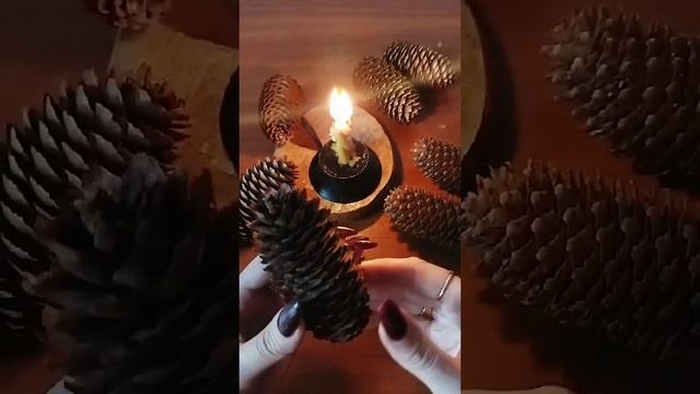 заговор на шишки смотреть онлайн