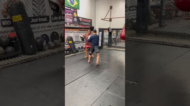 Everyday MMA- you can’t hide, you can’t run!