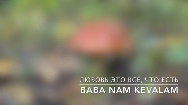 Универсальная мантра любви | BABA NAM KEVALAM смотреть онлайн