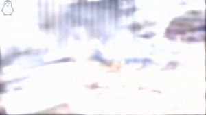 Топ 5 неудачных взрывов и сносов зданий снятых на камеру