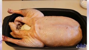 ★БЫСТРО.★ ГУСЬ В ГУСЯТНИЦЕ ★