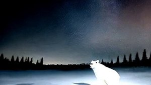 Медведь страшно идёт под страшную музыку. мем 2026