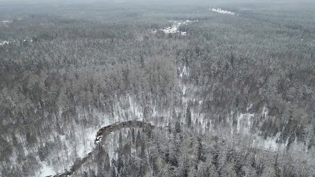 Государственный природный заказник Линдуловская роща. Зима