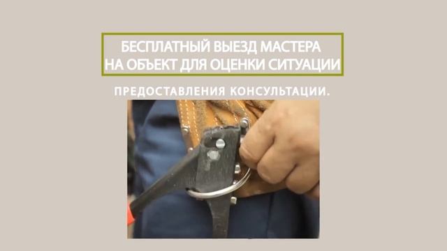 Заборы, Ворота и Навесы от GDA Group смотреть онлайн