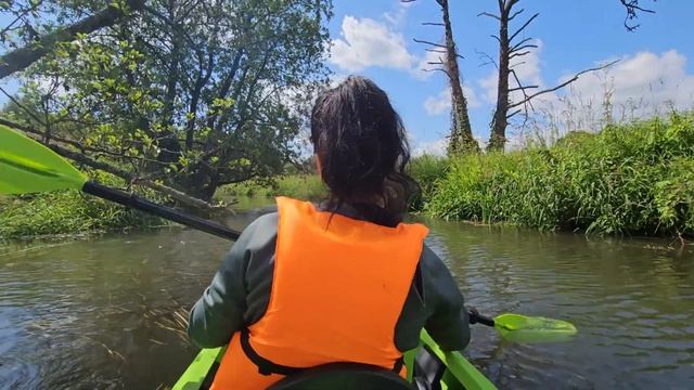 Птичь. Кто куда гребёт? Сплав на байдарках. смотреть онлайн