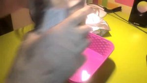 6.Зерновой мицелий шиитаке 370. И снова плесень и триходерма.