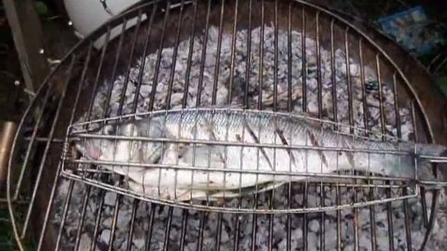 A Day In The Life Of A Bass.wmv Kayak Fishing. смотреть онлайн