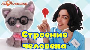 Стажер ХЭЛПИ, БАРБИ и КЕН: изучаем строение тела человека!