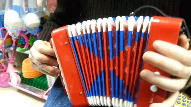 Гармошка в магазине Пчеленок