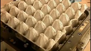 Производство ячеек для яиц из отходов бумаги и картона