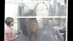 Животные нападают на детей! Интересное видео