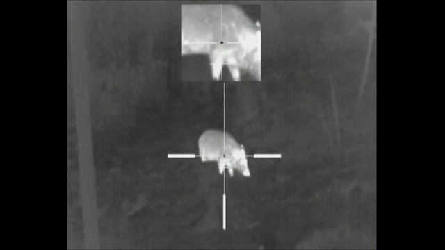 Apex xd75 смотреть онлайн