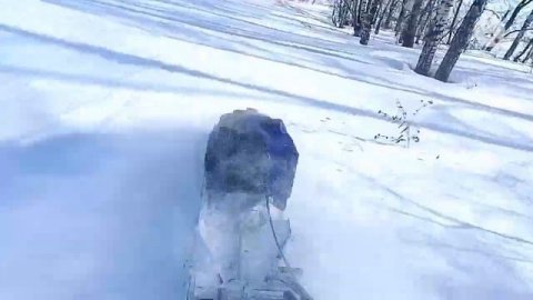 Тофалар 500. Тофалар стал ещё тяговитей.