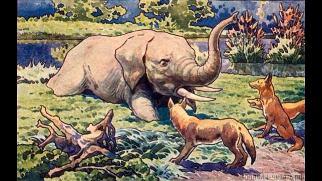 "Шакалы и слон" —Лев Толстой — читает Павел Беседин смотреть онлайн