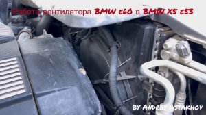 Работа электро вентилятора BMW e60 в BMW X5 e53 m54b30