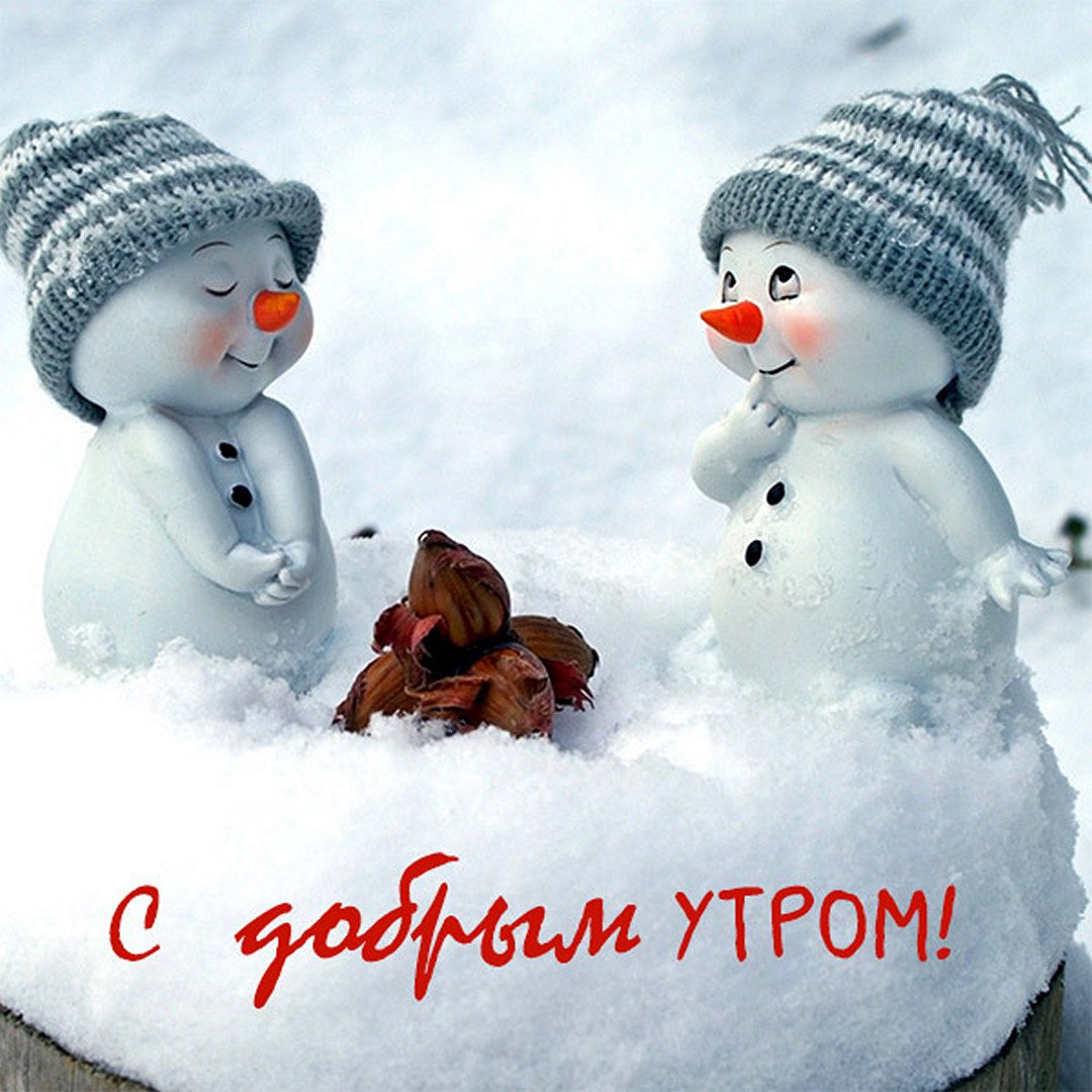 С добрым,зимним утром!