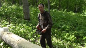 Солонец / делаем солонец на лося