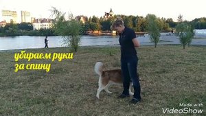 ДРЕССИРОВКА СОБАК трюк дом, пошаговое обучение
