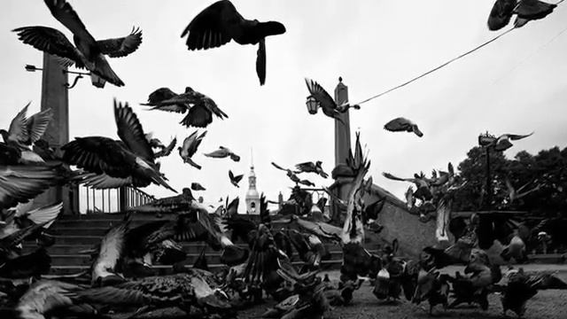 Творчество фотохудожника Ларисы Ивановой. Выставка «Красный уровень одиночества» в Доме Озерова.