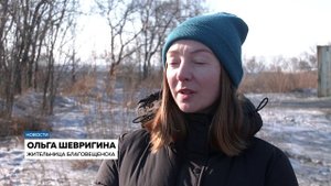В Благовещенске стая бездомных собак напала на 9-летнюю девочку