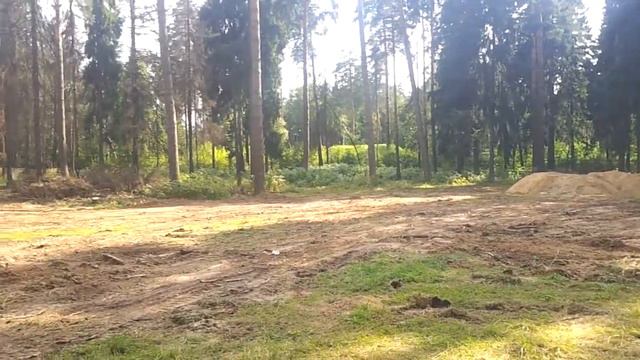 Вырубка деревьев на Клязьме
