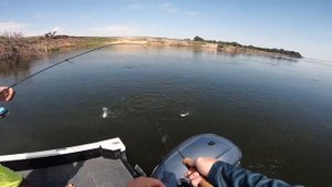 Рыбалка с Андреем Старковым. Глава вторая