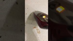 Пылесос Electrolux ERGO12_сьемный блок